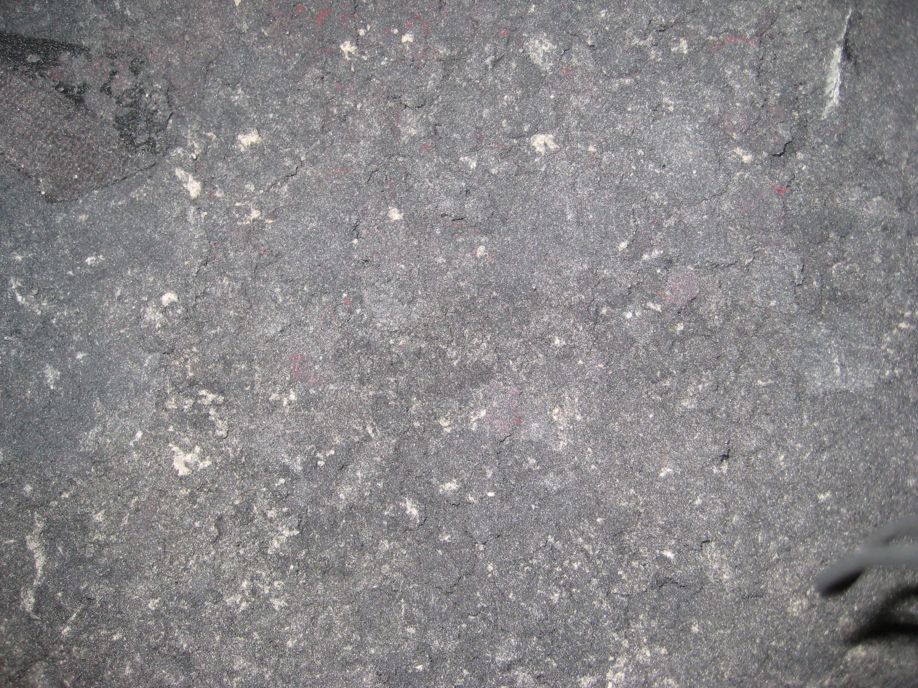 Nylon Shear Lint